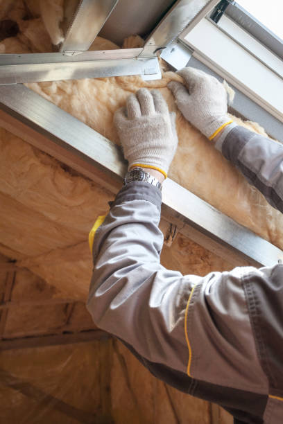 Types of Insulation We Offer in Conestee, SC