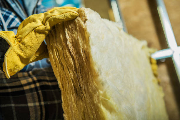 Best Eco-Friendly Insulation in Conestee, SC