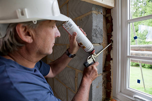 Best Specialized Insulation Services in Conestee, SC