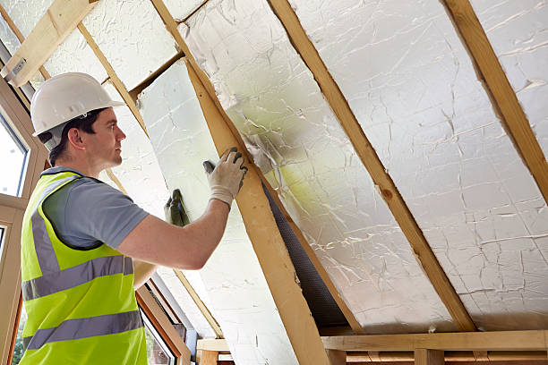 Best Commercial Insulation in Conestee, SC